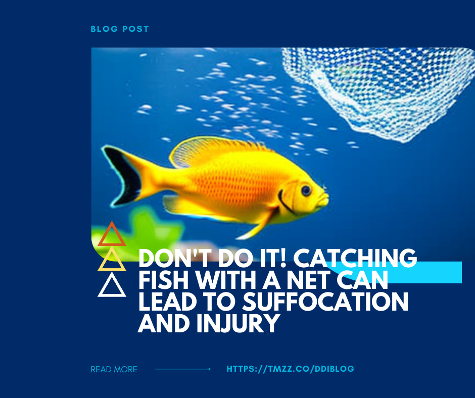 Don't Do It! Catching Fish With A Net Can Lead To Suffocation And Injury